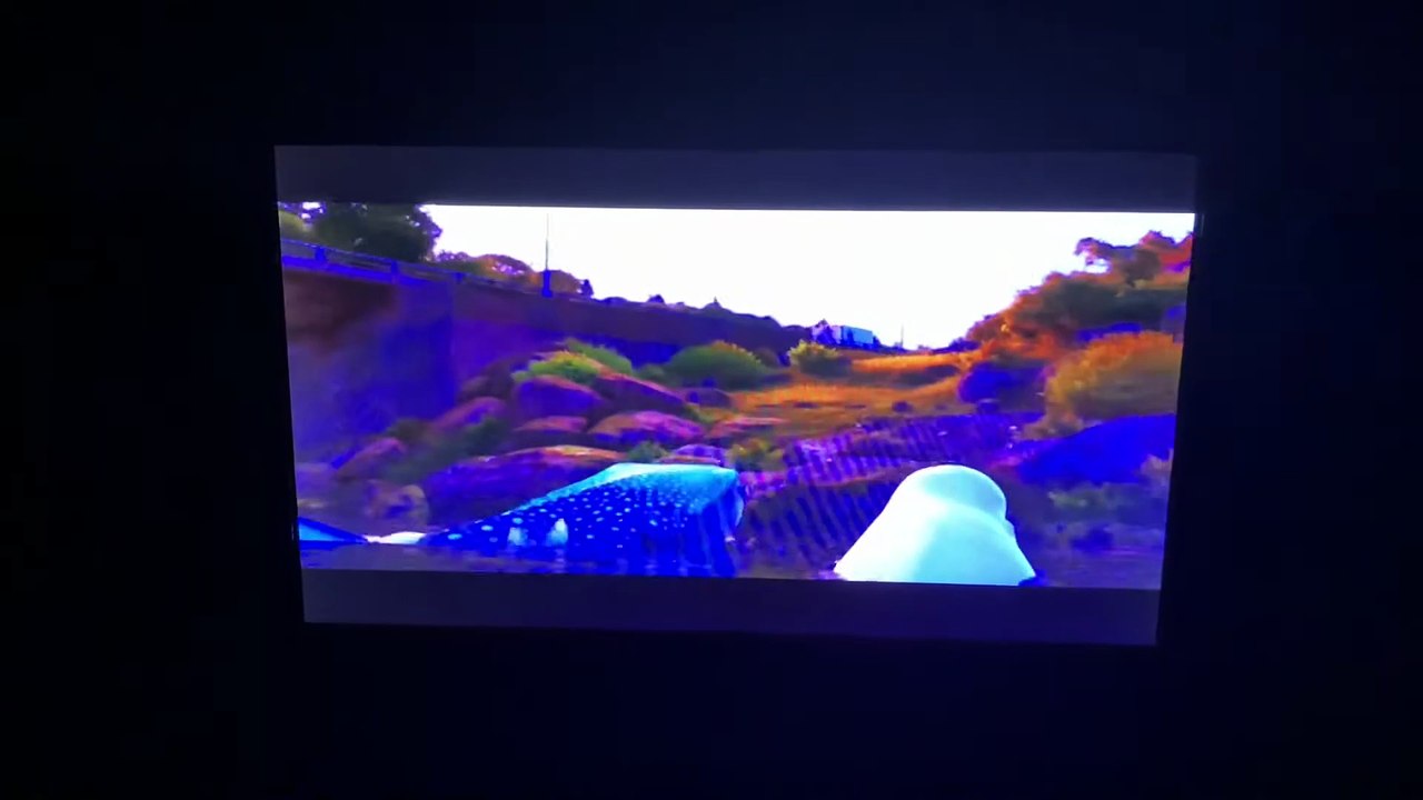 Finding Dory (2016) Truck Chase Scene - video Dailymotion