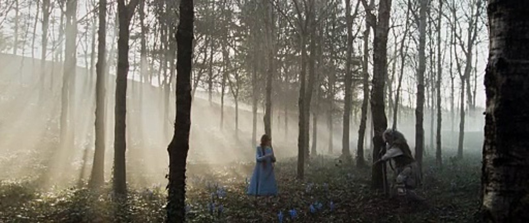 THE DEATH OF ROBIN HOOD Film