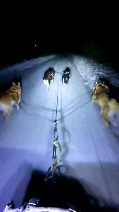 ❄️🐕🐕🐕🛷☃️ Sledding with my babies February 5, 2026