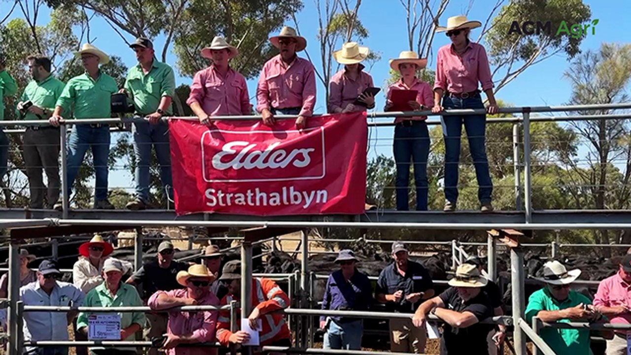 Strathalbyn store sale - Feb 6, 2026