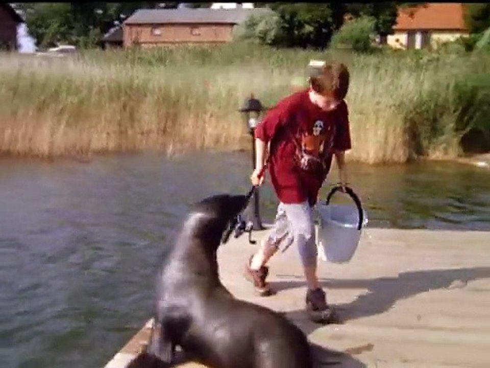 Hallo Robbie S0105-Robbie macht Stress