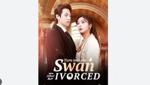 Turn into the Swan After Divorced - Full Movies English Sub