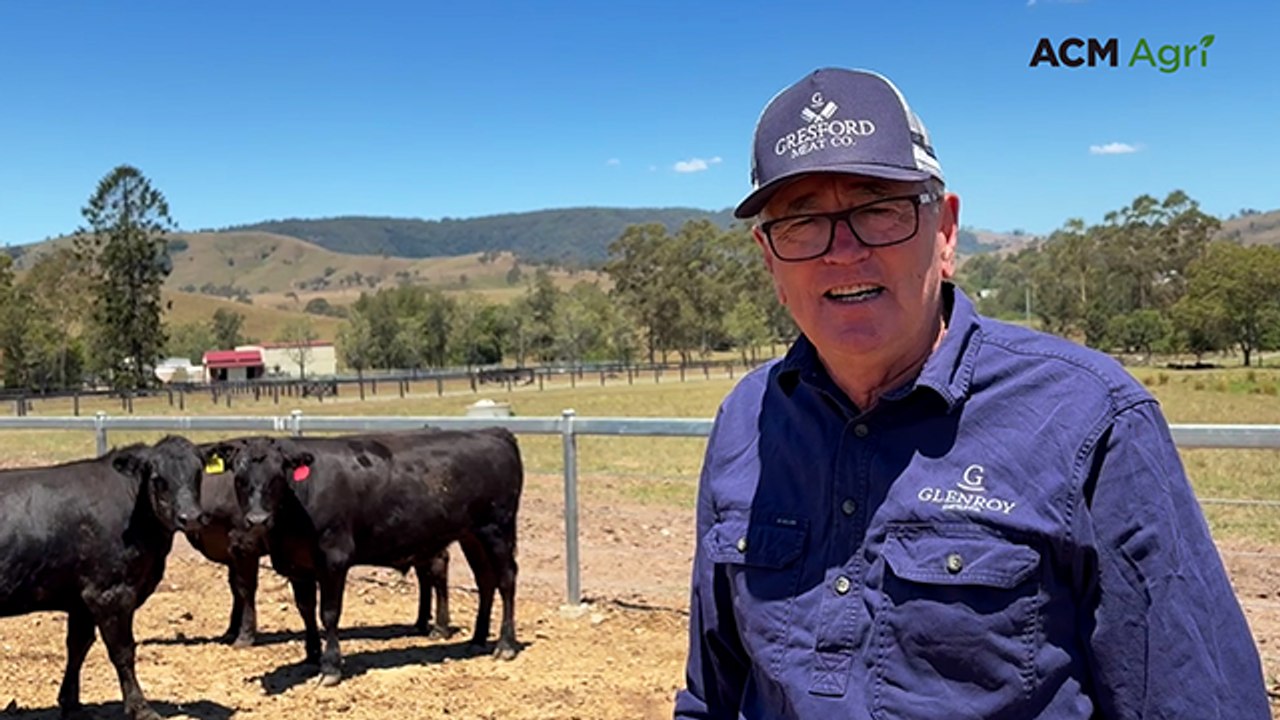 How Glenroy Cattle Co finishes beef for its own...
