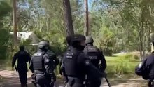 Drug Raid Uncovers Illegal Makeshift Zoo on NSW Mid-North Coast