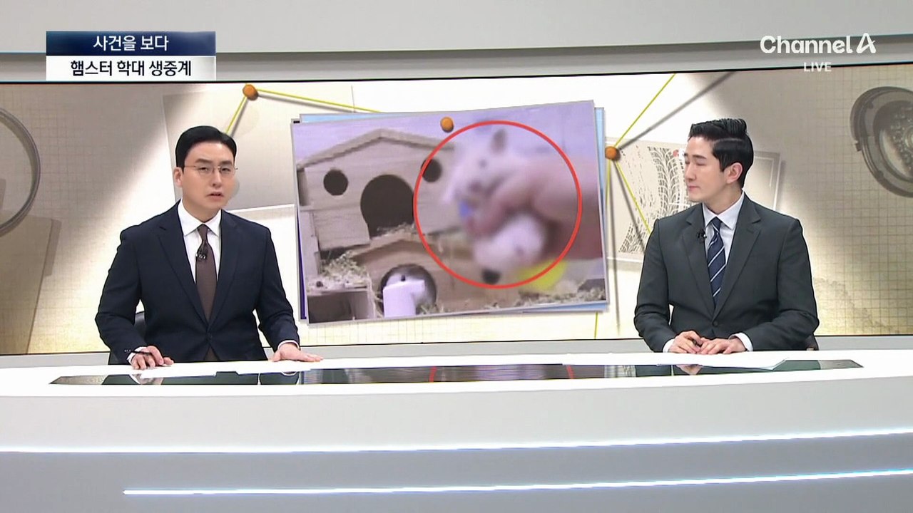 [사건을 보다]‘햄스터 학대 생중계’ 남성 집서 동물 22마리 긴급 격리