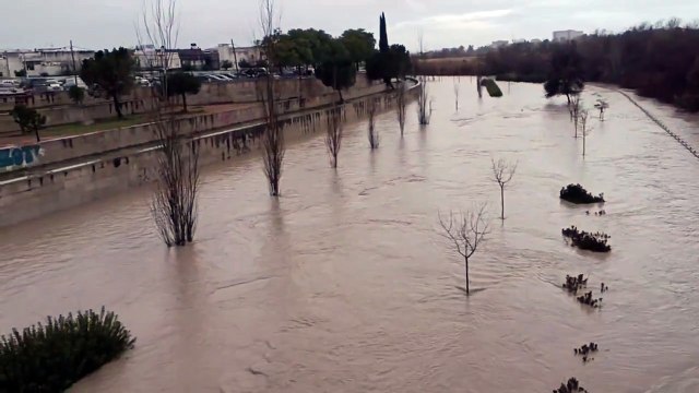El Guadalquivir inunda el Paseo de Miraflores en Córdoba