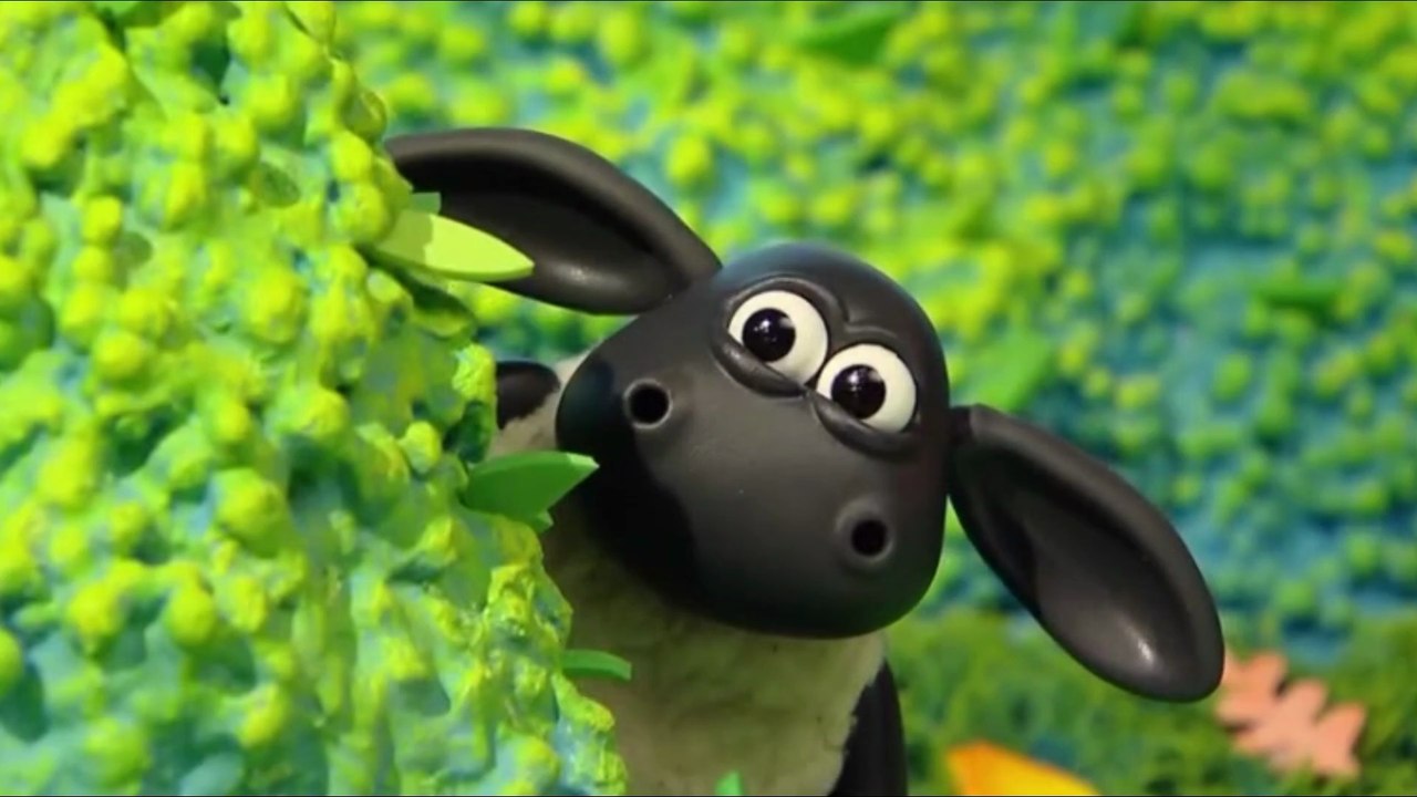 Timmy Time "Rainbow Colours" | "Hide and Seek"