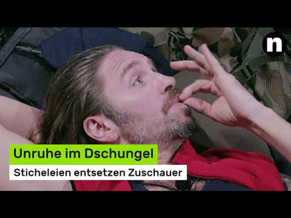 Dschungelcamp 2026: Unruhe im Dschungel - Sticheleien entsetzen Zuschauer