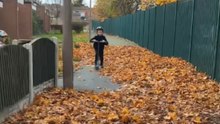 Little boy fails to ride through a leaf pile on his scooter and falls