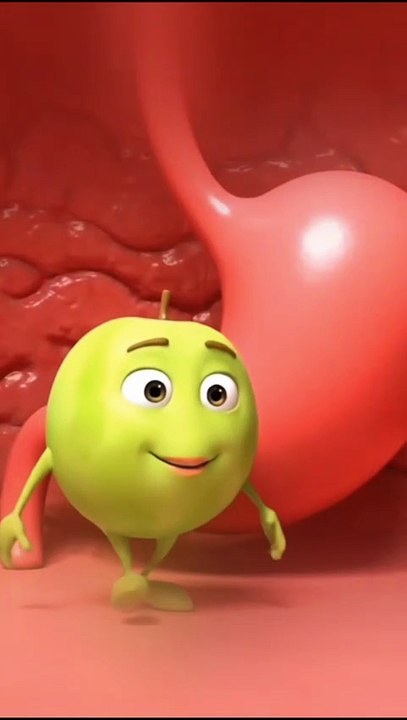 ‎পেটের স্বাস্থ্যের জন্য আমলকী কেন সবচেয়ে ভালো Learning Time BD