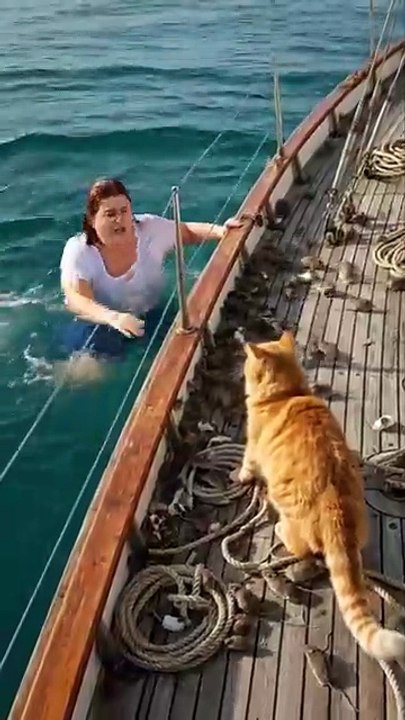 Mouse put women into a whale mouth but cat save her _realstory _realstory _rescue _rescuecat(MP4)