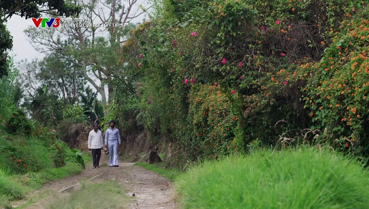 Tình Yêu Của Ðời Tôi Tập 57 - VTV3 Thuyết Minh - Phim Colombia