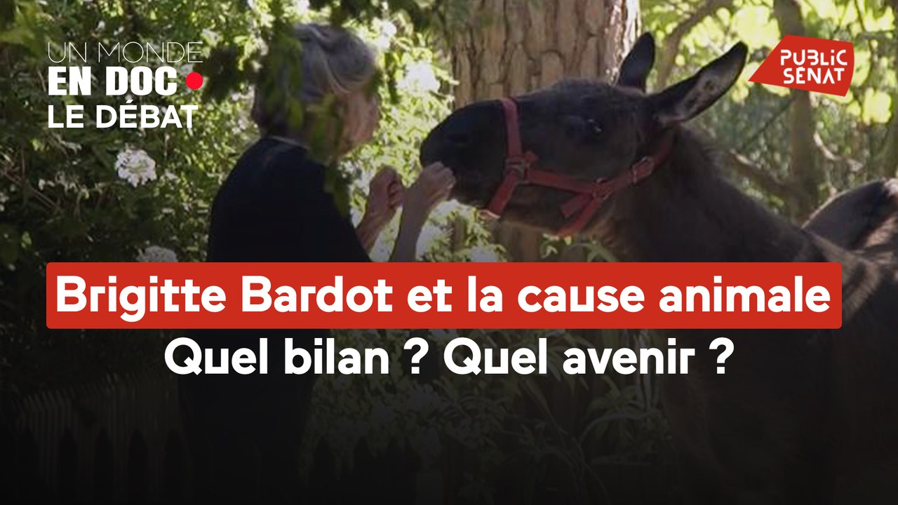 Un monde en doc - Brigitte Bardot et la cause animale : quel bilan ? Quel avenir ?