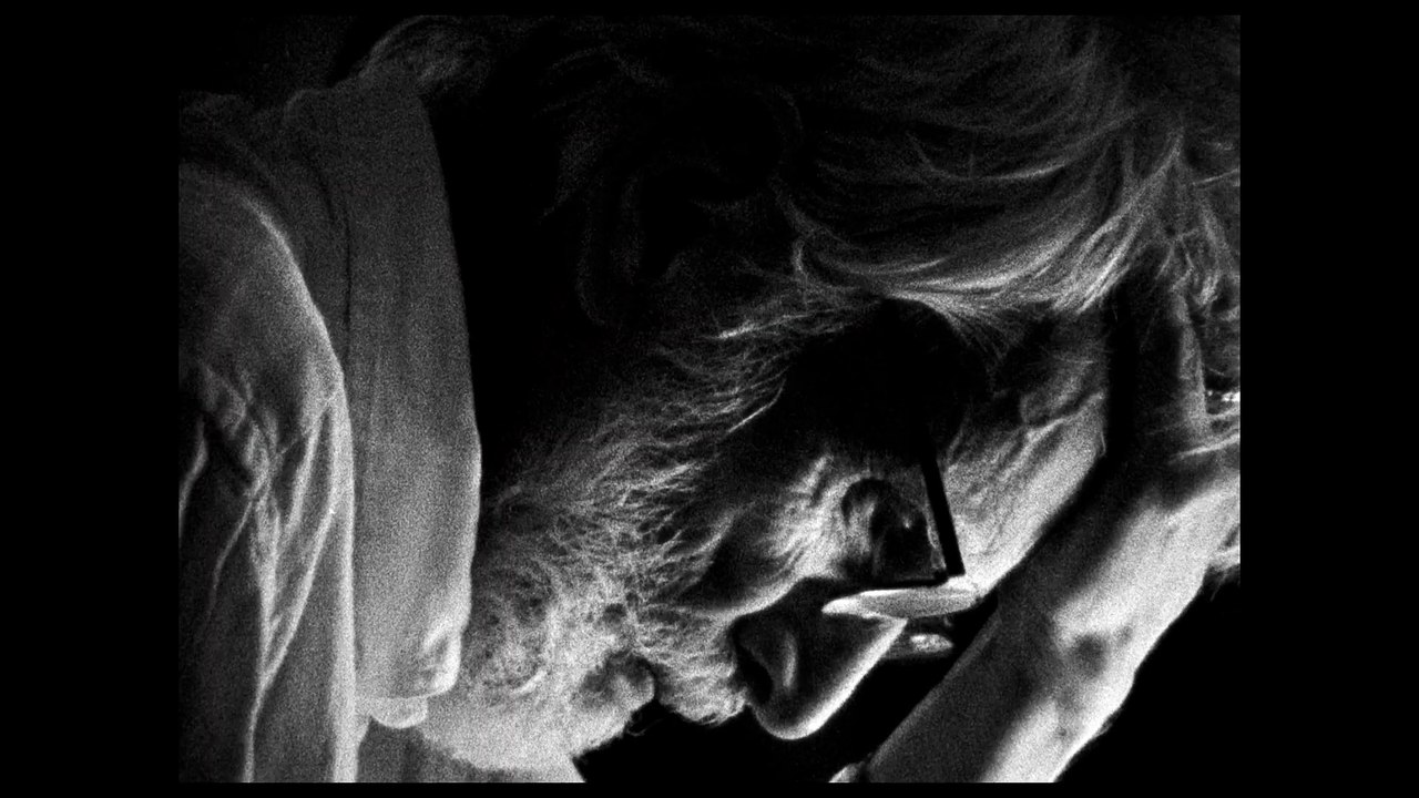 Later in the Clearing - Trailer