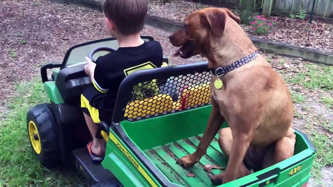 Logan Xavier 2018 06 11 Zuma Rides 1