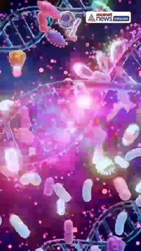 Nobel Prize in Medicine 2025: What Are Regulatory T-Cells? Immune System's 'Secrets' Unlocked