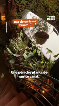 Une librairie botanique… sur l’eau ⛴️➡️ Allez découvrir tous nos articles sur [petitmauda.com]( petitmauda.com/)©️ Crédit : @petitmauda🎁 Tous nos bons plans à retrouver en bio ! ❤️‍🔥👉🏻 Abonne-toi au Petit Mauda pour plus d’inspiration ! 🌳