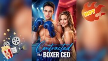 Contracted To A Boxer CEO [ NEW MOVIE RELEASES ] (Dailymotion Drama)