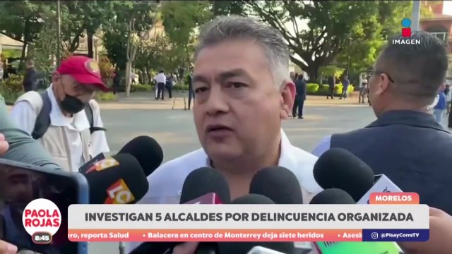 Investigan a cinco alcaldes de Morelos por crimen organizado | DPC con Paola Rojas