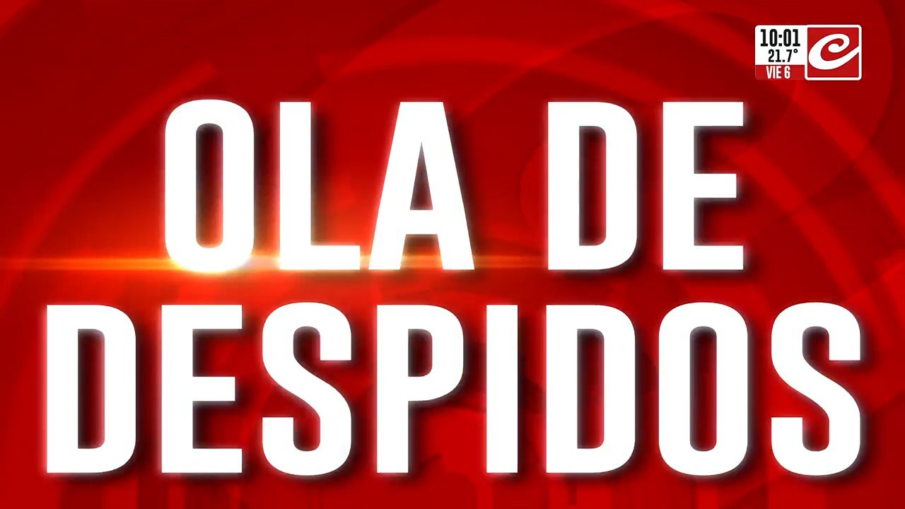 despidos