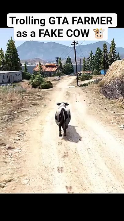 Trolling GTA Player as a FAKE COW in GTA V #gta #gtaviral #games #gameplay #gtaonline