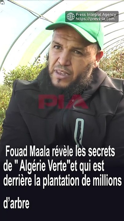 Fouad Maâla révèle les secrets de « Algérie Verte » et qui derrière la plantation massive d’arbres