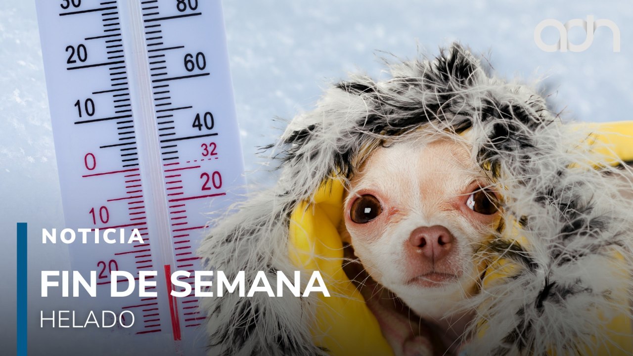 ¿Habrá frío en CDMX este fin de semana? Frente Frío 33 y alerta amarilla