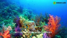 How climate change affects animals