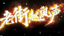 老街赵凤声14