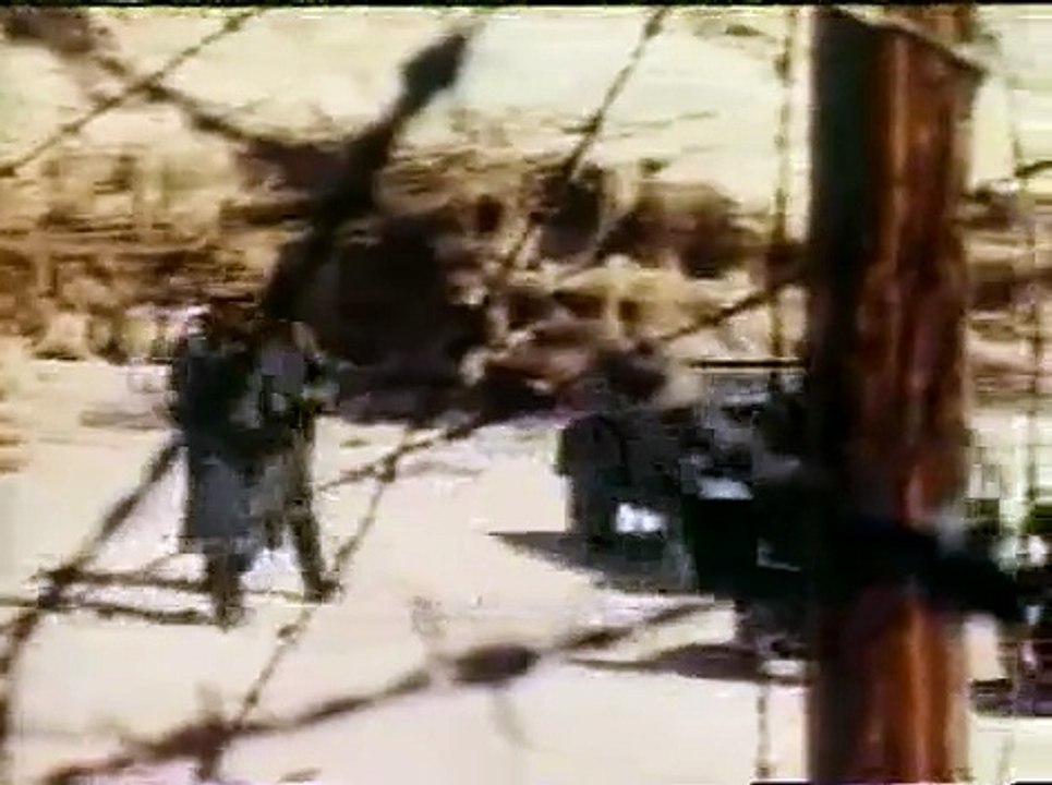 Normandy: Into the Fire