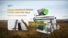 Anti-Bridging Feeder for Pellet Production Line | Stable & Continuous Material Feeding