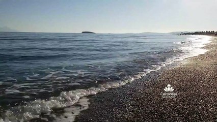 Calming Ocean Waves for Stress Relief