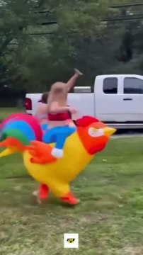 Funniest Human Fails & Comedy Moments #11 – Hilarious Fails, Pranks & Funny Moments Compilation