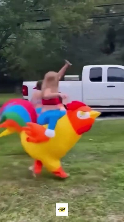 Funniest Human Fails & Comedy Moments #11 – Hilarious Fails, Pranks & Funny Moments Compilation