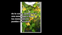 CULTIVANDO EN LA TORRE SOLITARIA NOVELA PARTE -47