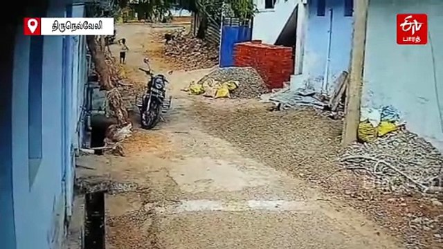 பள்ளி சிறுவனை துரத்தி கடித்த தெரு நாய்கள்! வெளியான அதிர்ச்சி சிசிடிவி காட்சி!!