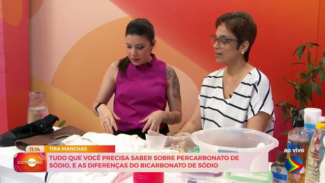 Dicas para Remover Manchas de Mofo e Cuidar de Itens de Couro com Produtos Caseiros