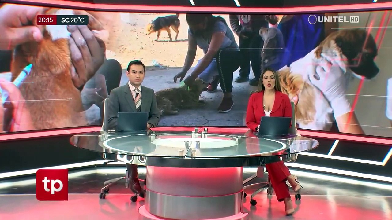 Un perro con rabia mordió a ocho niños en Tiquipaya, municipio que tiene tres casos confirmados