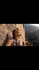 Very Nice cat video 😍😂