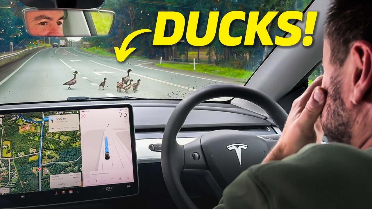 Tesla FULL SELF DRIVING...does it actually work?