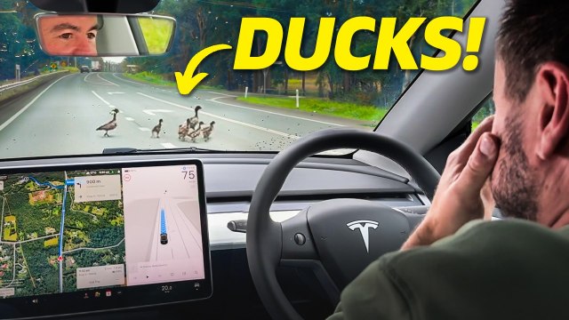 Tesla FULL SELF DRIVING...does it actually work?