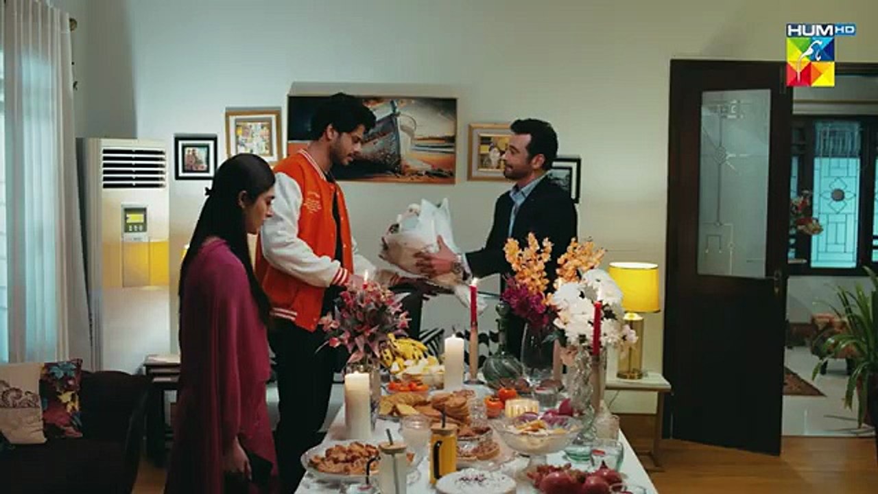 Raaja Rani Episode 36 - 29 August 25 [ Hina Afridi & Faysal Qureshi ] - HUM TV