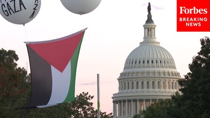 Pro-Palestinian Demonstration Held Outside Union Station In Washington, D.C