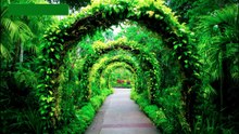 What do you know?   Test you brain with this delightful quiz with a horticultural theme.