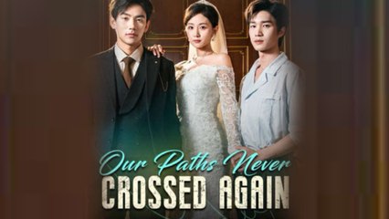 Our Paths Never Crossed Again