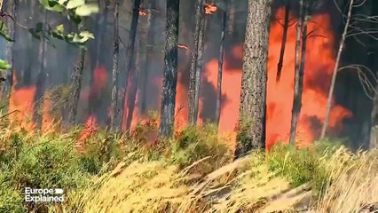 2025 foi o pior ano em termos de incêndios florestais para a Europa