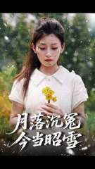 短剧合集：月落沉冤，真相终揭晓✨