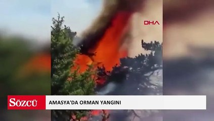Amasya’da orman yangını