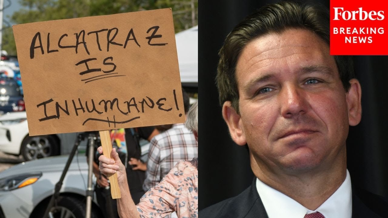 'I Would Find Better Things To Do': Governor Ron DeSantis Mocks Protesters Of 'Alligator Alcatraz'