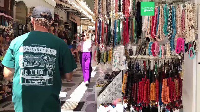 Спасти белобрюхого тюленя: греческие активисты отправились в путешествие под парусом